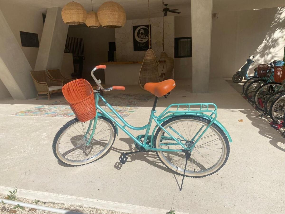 Apartment Unique Ph 3 Sunset Terrace In Az Premium Tulum